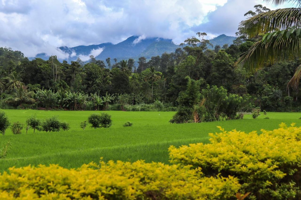 Ella Nature Valley Homestay Exterior foto