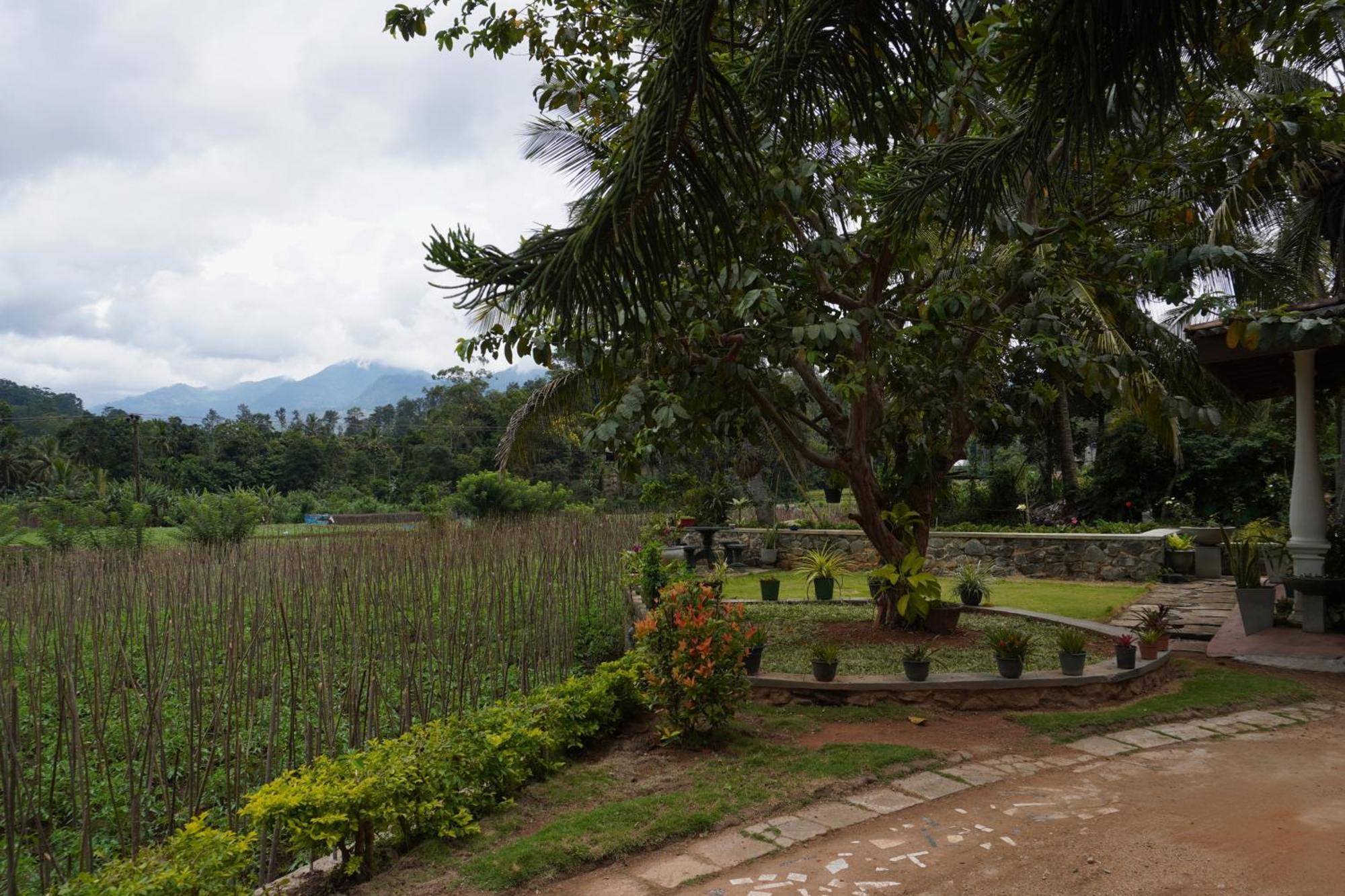 Ella Nature Valley Homestay Exterior foto